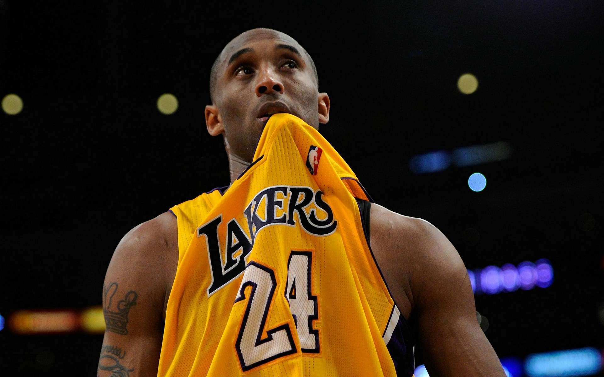 如果你需要 如果你需要