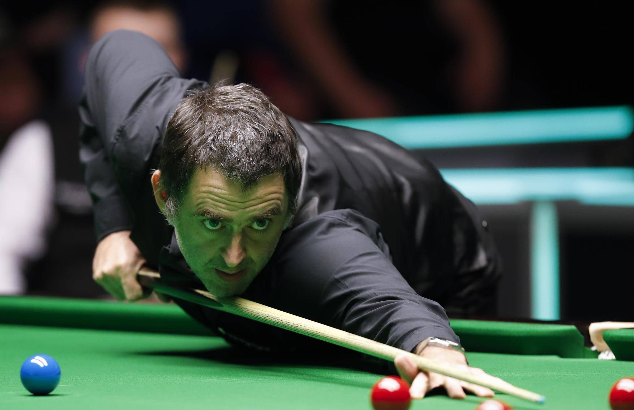 的积极表现 的积极表现